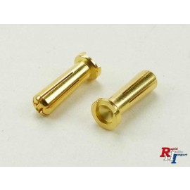 5mm Goldkontaktstecker hardcase 2st.