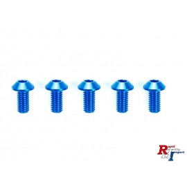 42327 TRF 3X6Mm Hex Head Screws Blue/5P