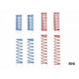 53832 DT-02 Springset (2x4)