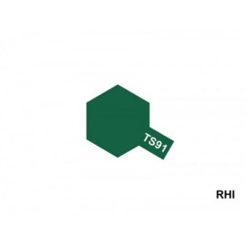 TS-91 JGSDF Dunkelgrün 100ml Spray