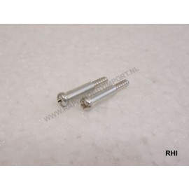 9804162 Schroeven 10st. 3x20mm