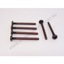 9805756 BB2 Screwpin 6pc.