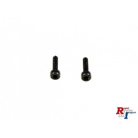 19805831 2x8mm Cap Screw (2 pcs.)