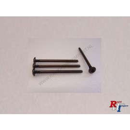 19805976 DT-03 3x46mm Screw Pin (4)