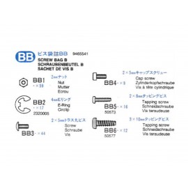 9465541 Screw Bag BB for 56307